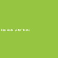 Imposante Leder-Decke