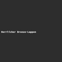 Herrlicher Bronze-Lappen