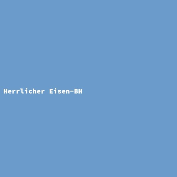 Herrlicher Eisen-BH