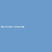 Herrlicher Eisen-BH
