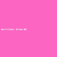 Herrlicher Eisen-BH
